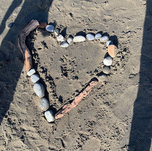 Meet your Posher, Allie